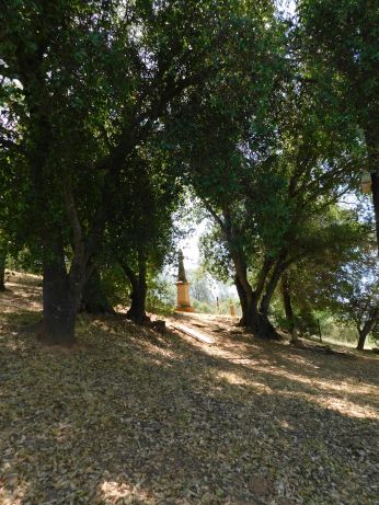 [Picture of View of Pioneer Cemetery]